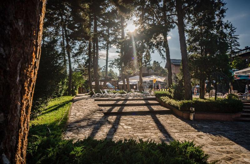 Spa Hotel Dvoretsa - Genel