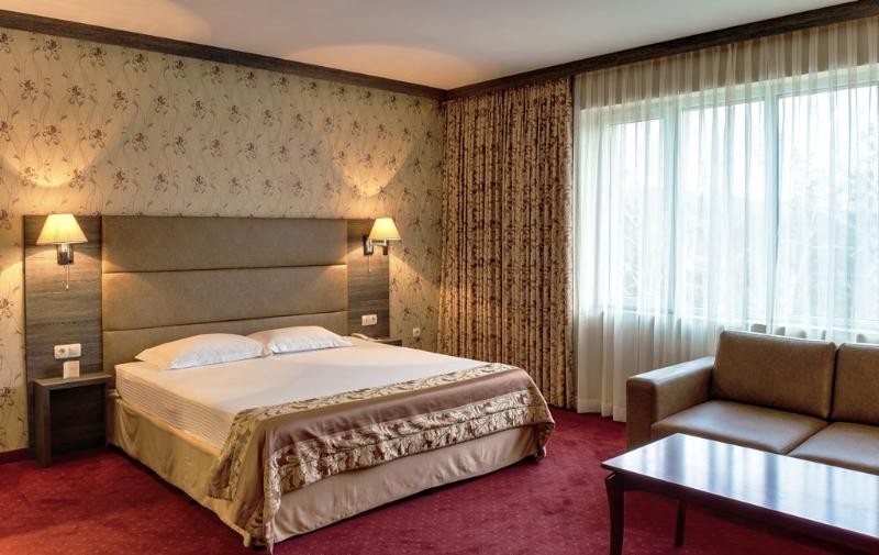 Spa Hotel Dvoretsa - Oda