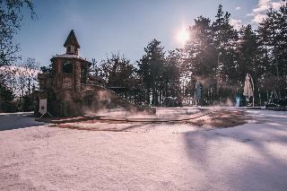 Spa Hotel Dvoretsa fotoÄŸrafÄ±