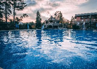 Spa Hotel Dvoretsa fotoÄŸrafÄ±