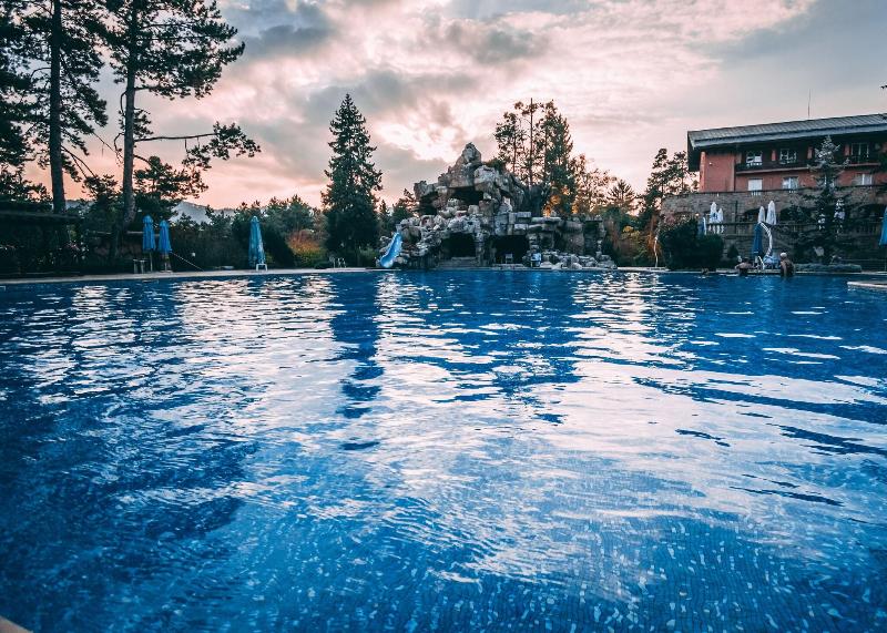 Spa Hotel Dvoretsa - Havuz