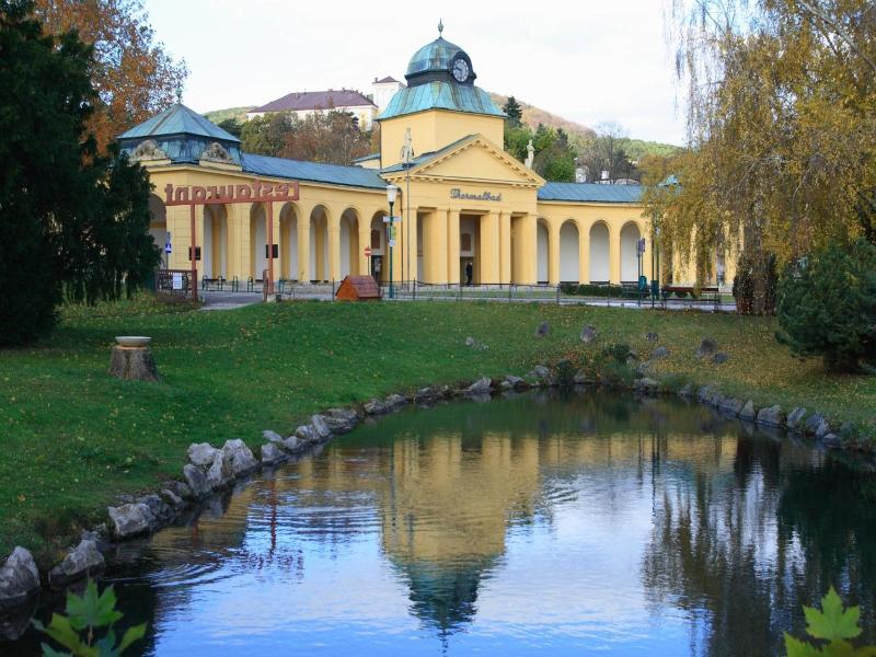 College Garden Hotel - Genel