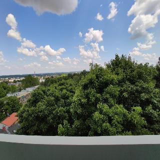 College Garden Hotel fotoÄŸrafÄ±