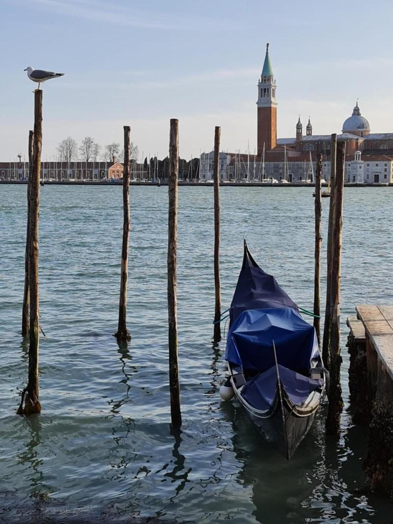 Friendly Venice - Genel