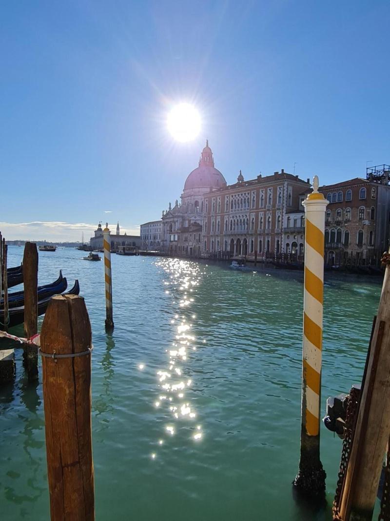Friendly Venice - Genel