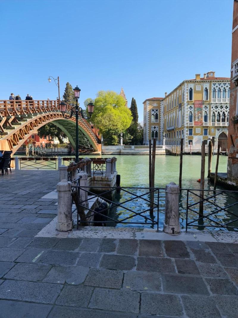 Friendly Venice - Genel