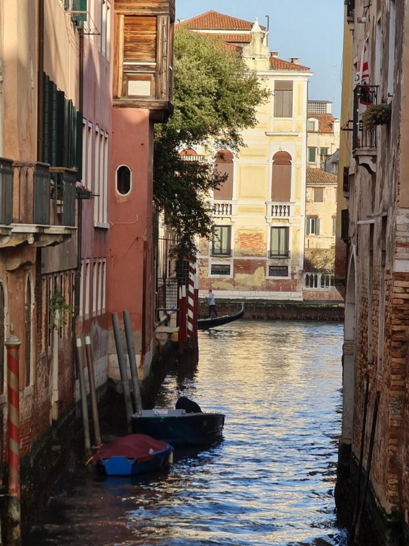 Friendly Venice - Genel