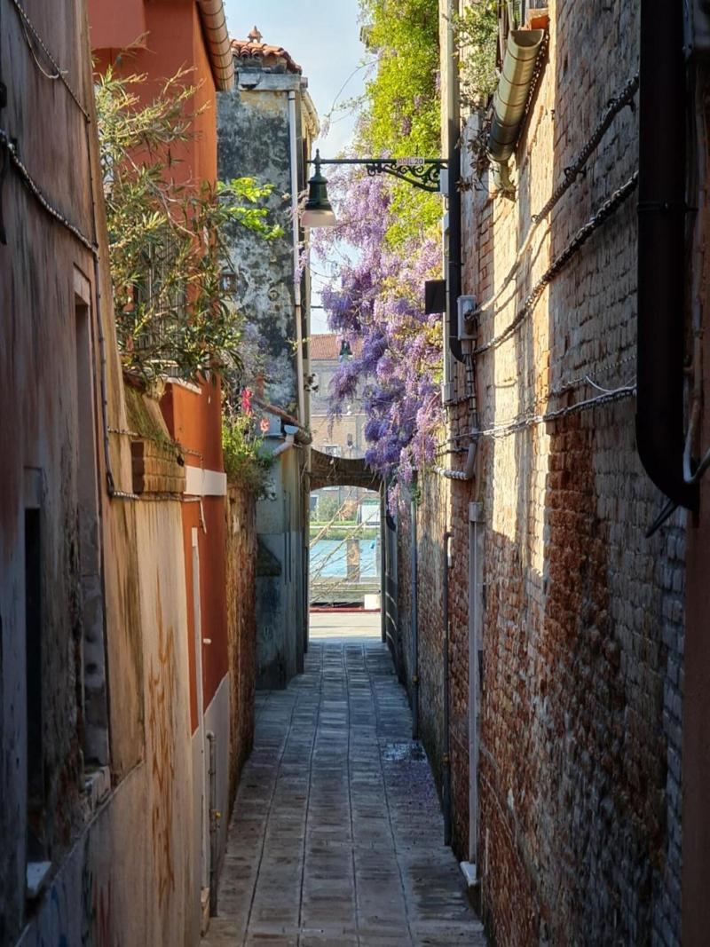 Friendly Venice - Genel