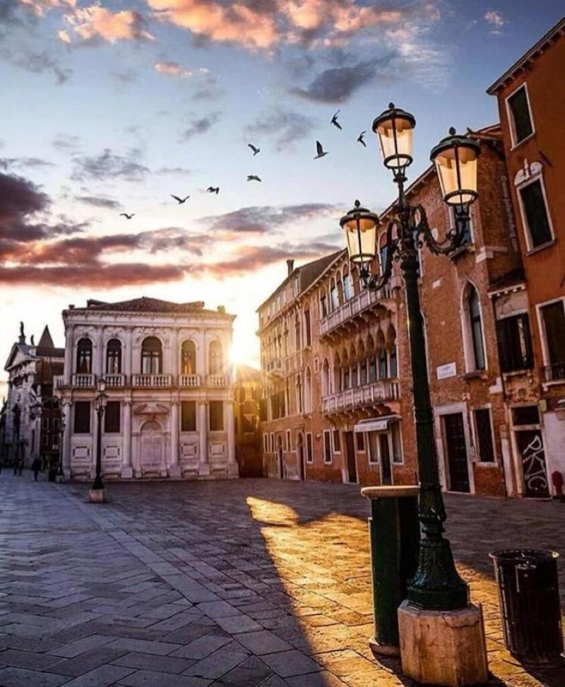 Friendly Venice - Genel