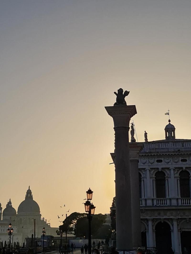 Friendly Venice - Genel