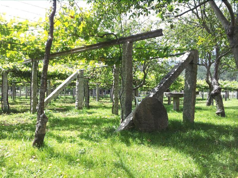 Casa Rural Os Areeiros - Aktivite