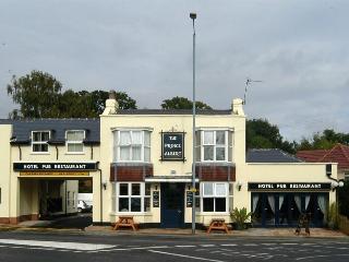 The Prince Albert - Inn fotoÄŸrafÄ±