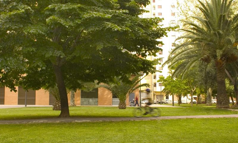 Plaza Picasso Apartamentos - Genel