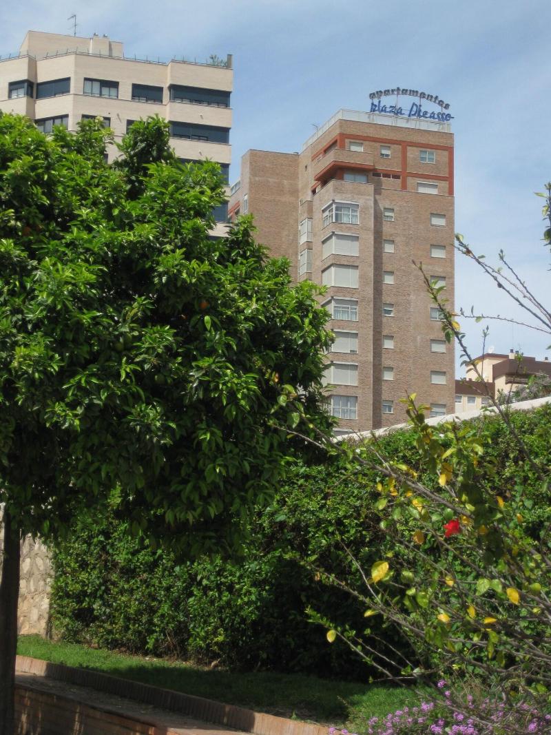 Plaza Picasso Apartamentos - Genel