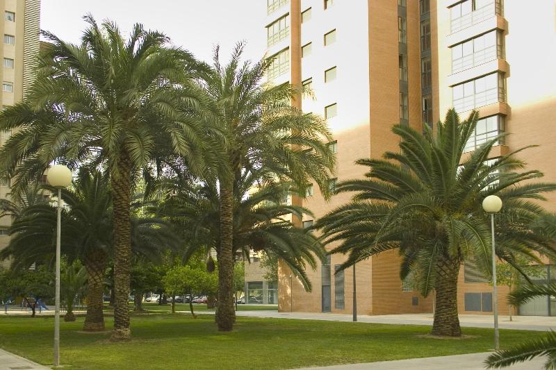 Plaza Picasso Apartamentos - Teras