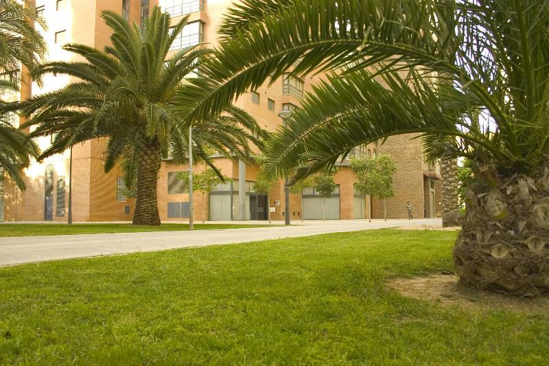 Plaza Picasso Apartamentos - Teras