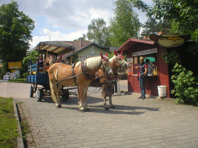 Alte Molkerei - Aktivite