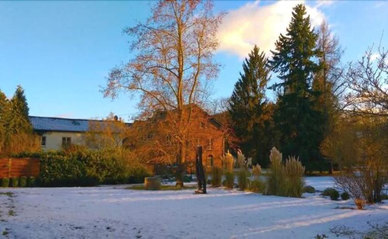 Menschels Vitalresort - Genel