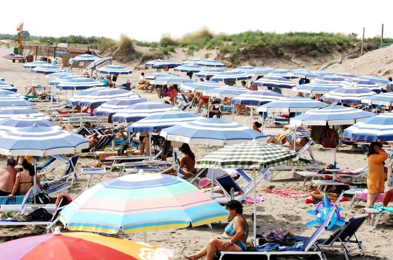 Camping Internazionale - Genel