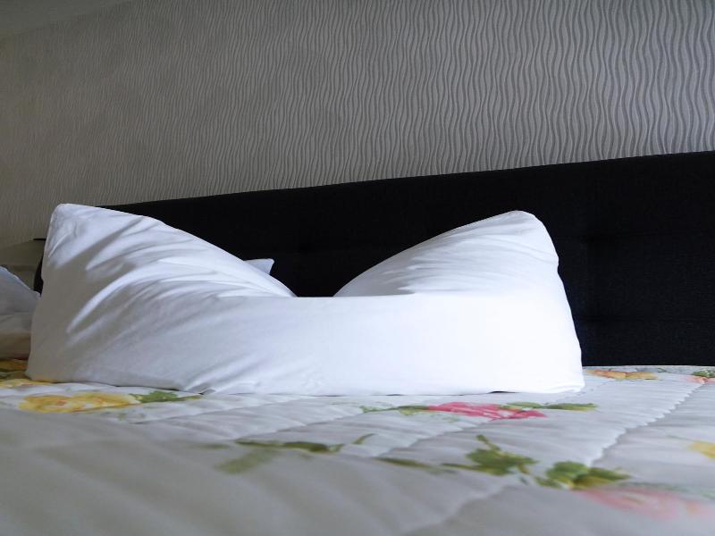 Brocki's Hotel Stadt Hamburg - Oda