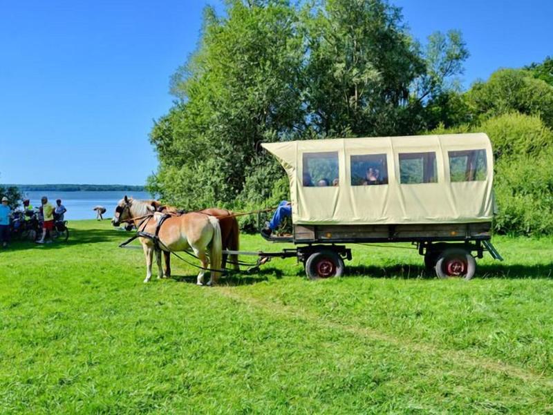 Hotel Im Ferienpark Retgendorf - Teras