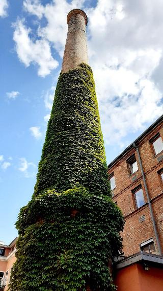 Fabrik fotoÄŸrafÄ±
