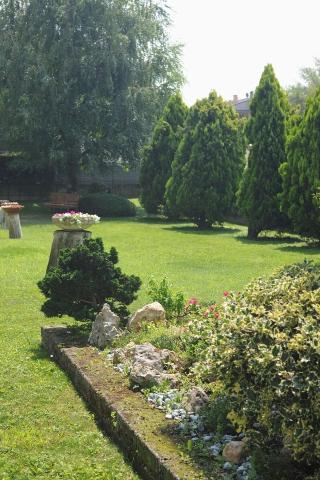 Gardenia fotoÄŸrafÄ±