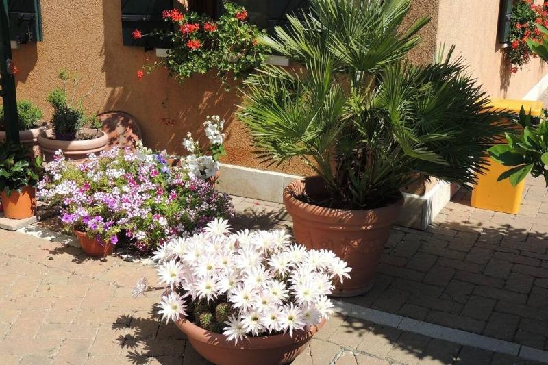 Country House Country Club - Teras