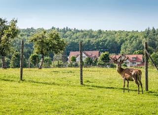Hotel Heimathenhof fotoÄŸrafÄ±