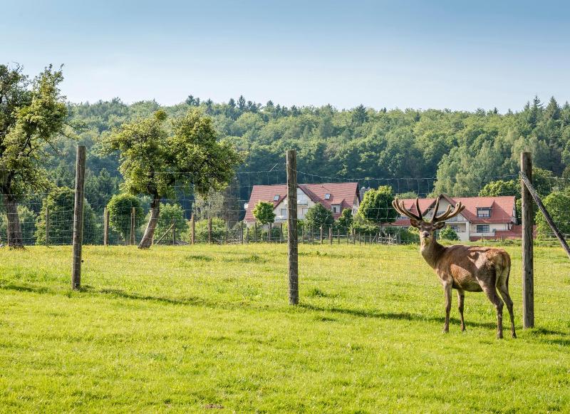Hotel Heimathenhof - Genel