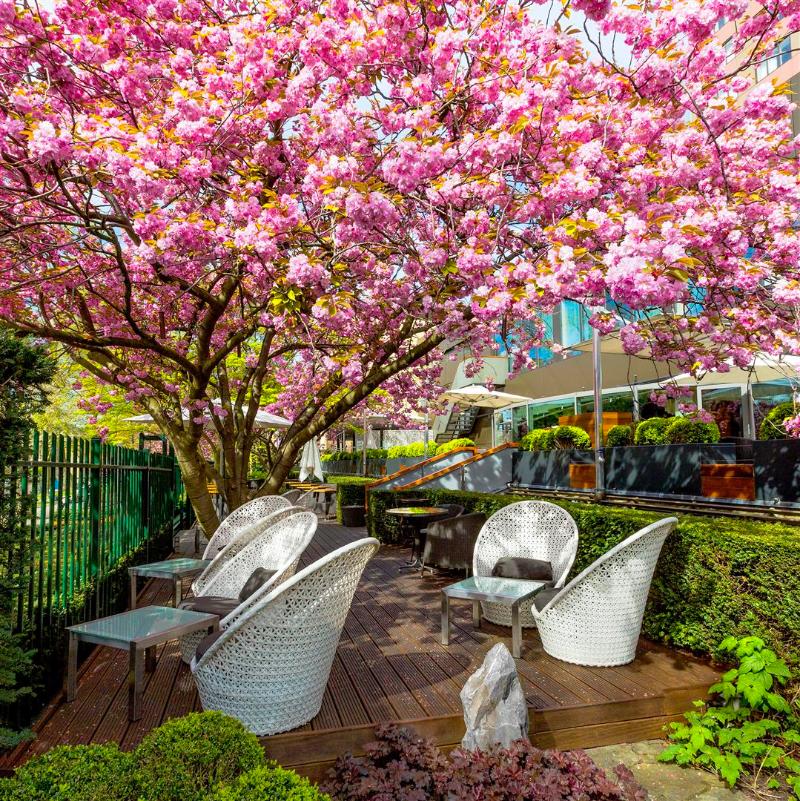 Hotel Okura Amsterdam - Teras