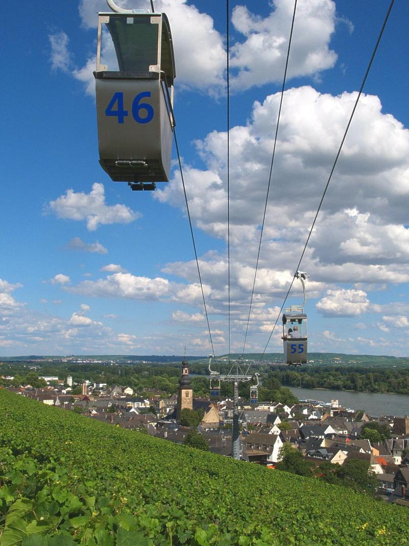 Altdeutsche Weinstube - Genel