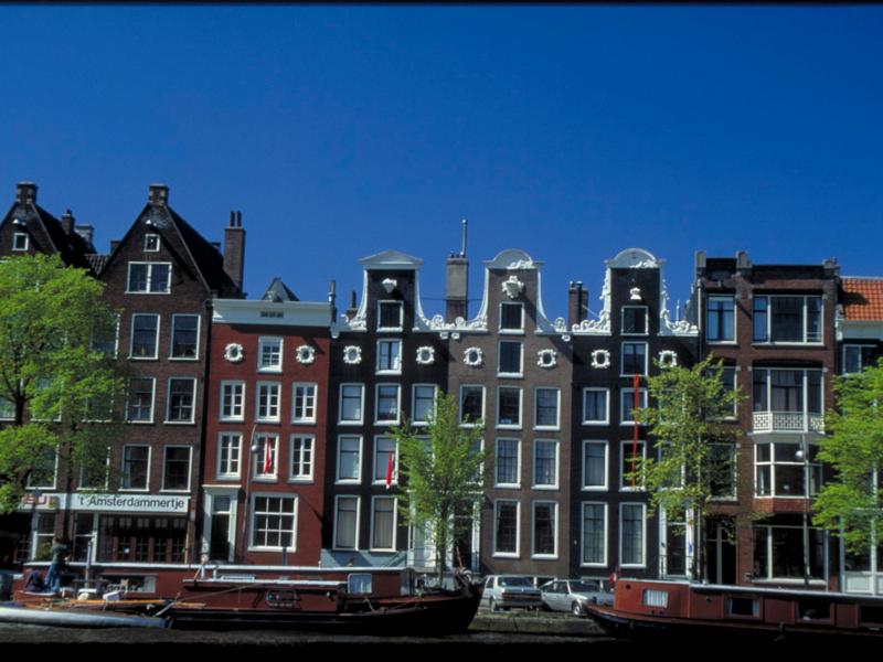 Novotel Amsterdam City - Aktivite