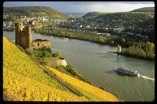 Rheinhotel Lamm fotoÄŸrafÄ±