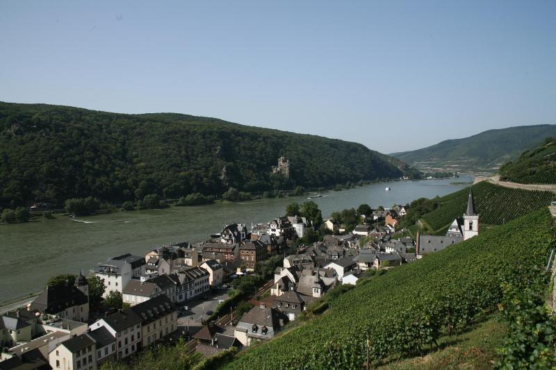 Rheinhotel Lamm - Genel