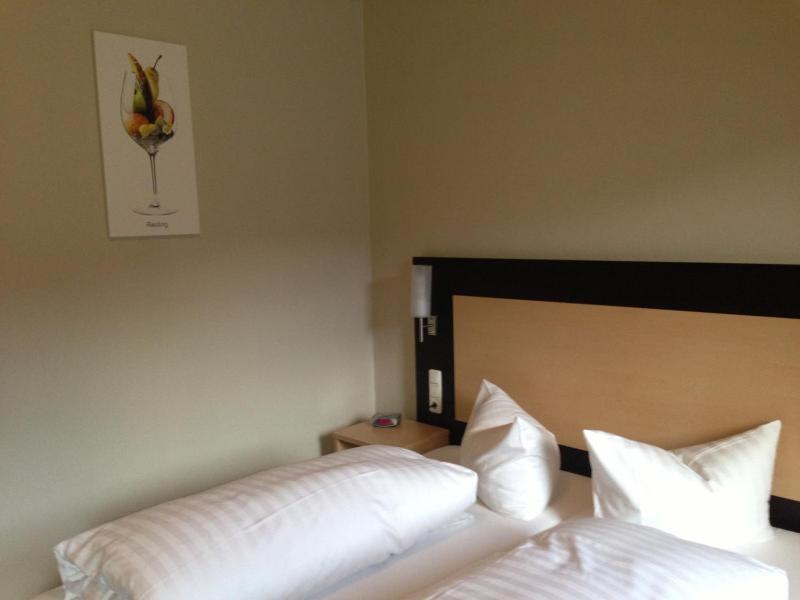 Rheinhotel Lamm - Genel