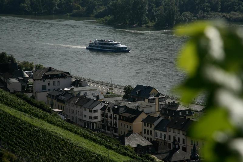 Rheinhotel Lamm - Genel