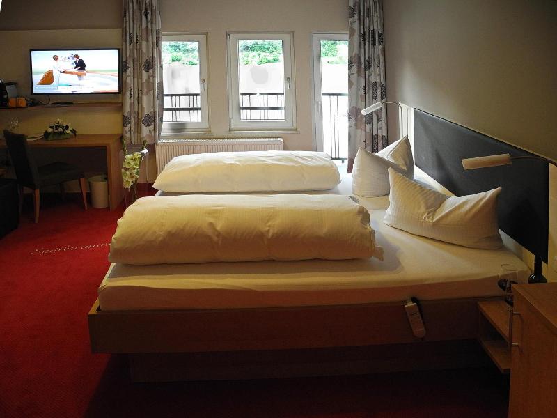 Rheinhotel Lamm - Genel