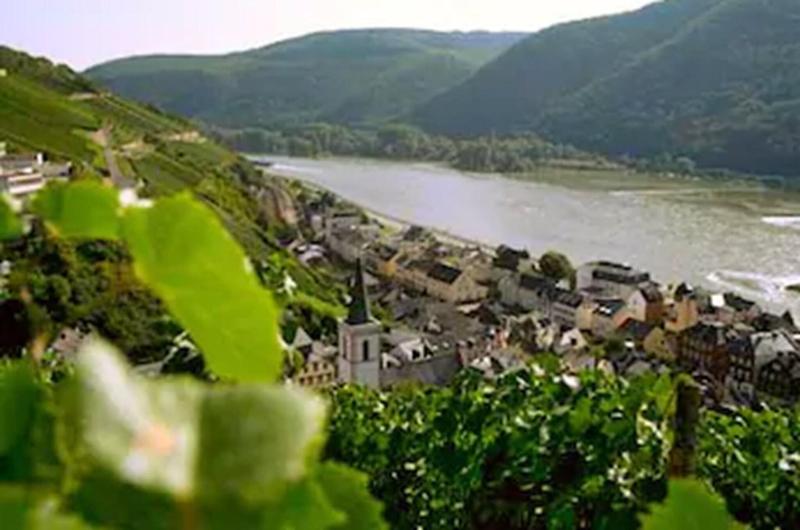 Rheinhotel Lamm - Genel