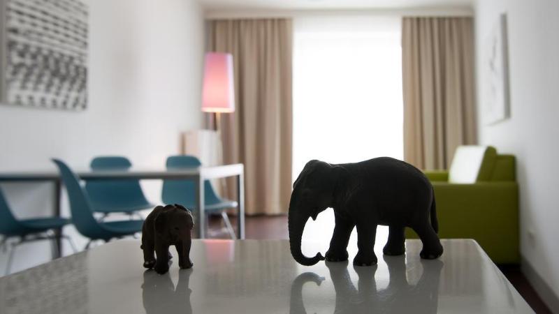 Stanys - Das Apartmenthotel - Genel