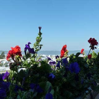 Strand-Hotel fotoÄŸrafÄ±