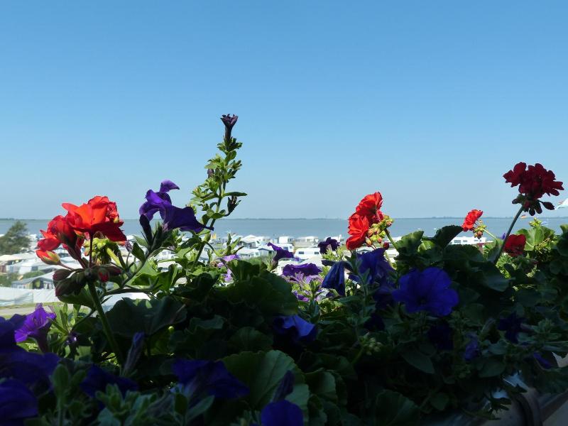 Strand-Hotel - Oda