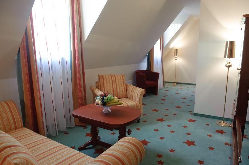 Stadthotel Stern - Aktivite