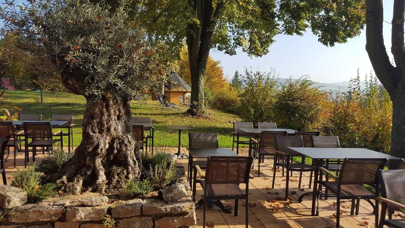 Vitalhotel König am Park - Genel