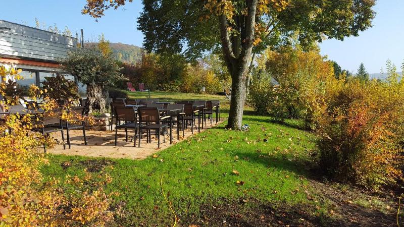 Vitalhotel König am Park - Genel