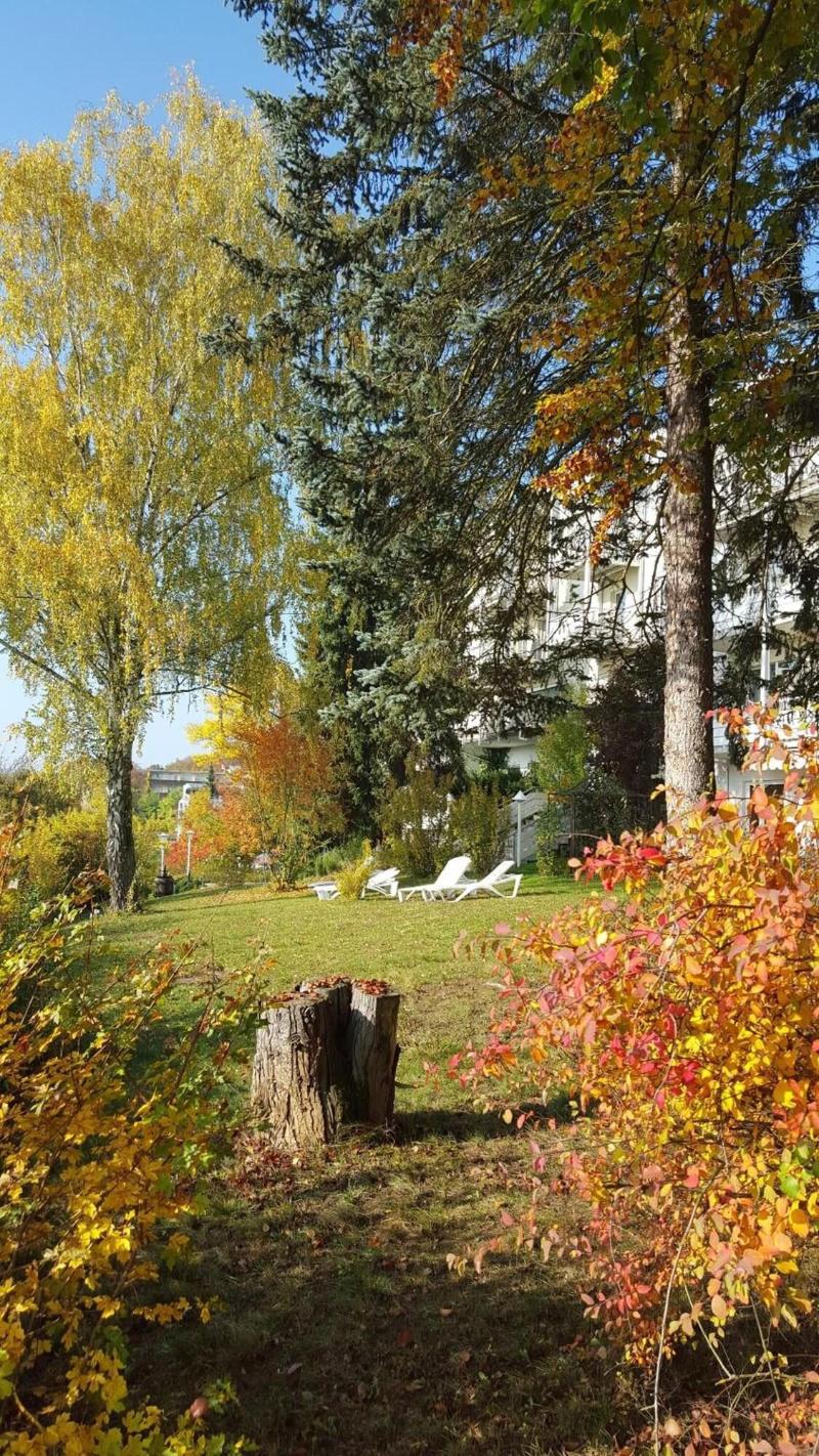 Vitalhotel König am Park - Genel