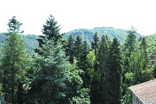 Engel fotoÄŸrafÄ±