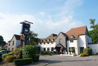 The White Swan fotoÄŸrafÄ±