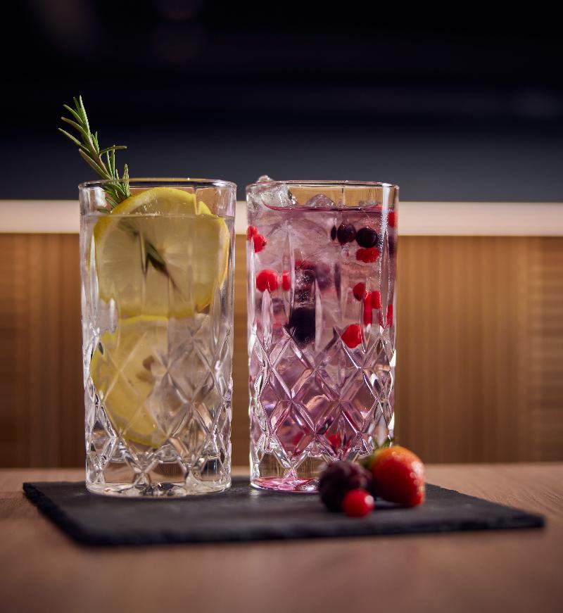 DoubleTree by Hilton Hannover Schweizerhof - Bar