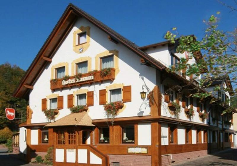 Hotel Lamm - Genel